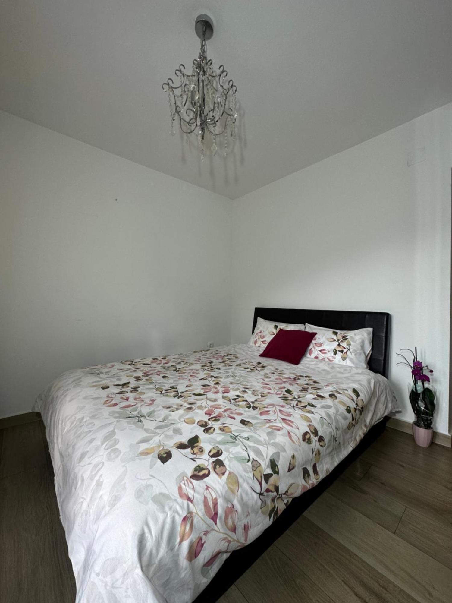 Apartmani Simona 布德瓦 外观 照片